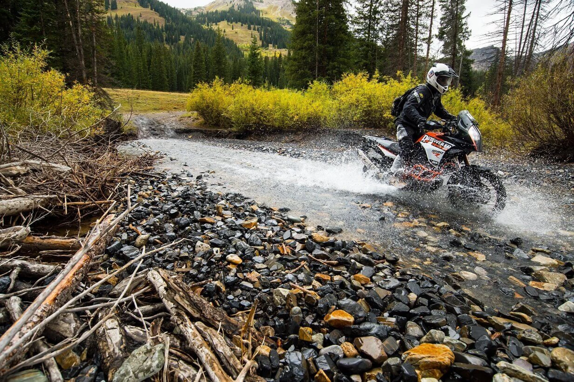 rottweillerktm1290-cudby-026