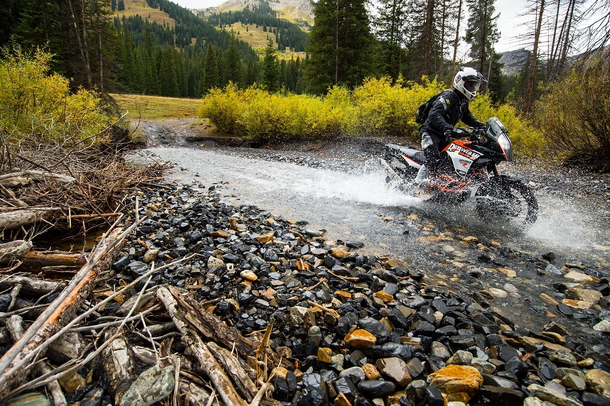rottweillerktm1290-cudby-026
