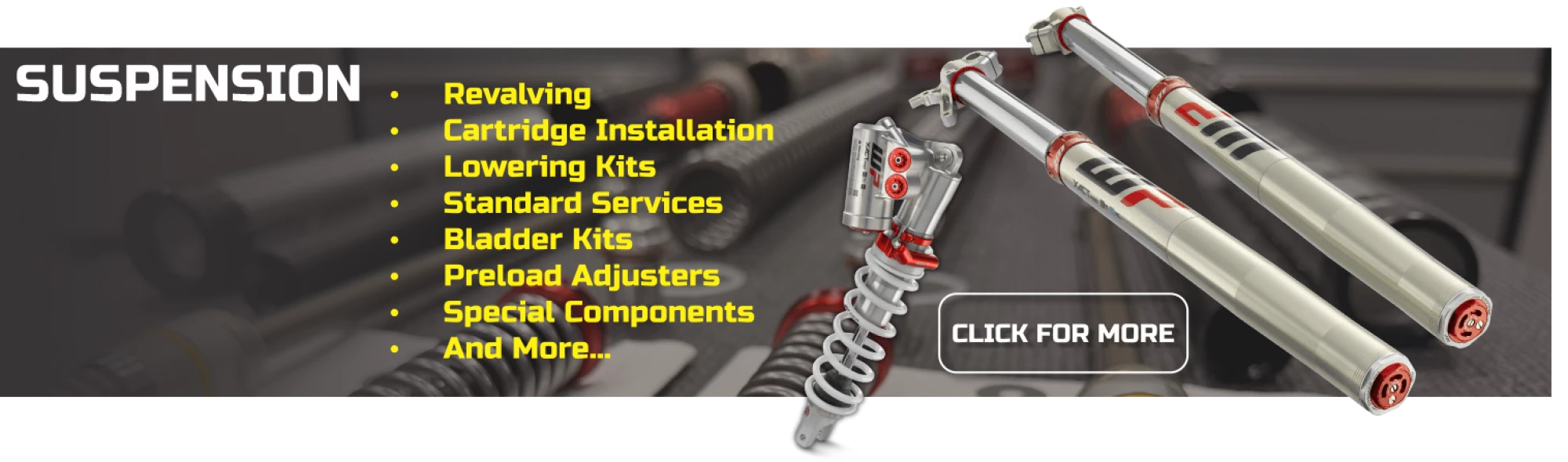 Service Graphic - Suspension